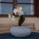 Apartament βastasio *