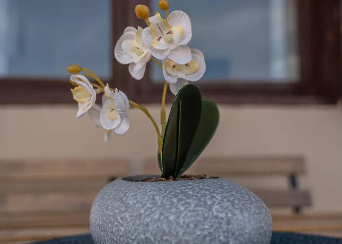 Apartment βastasio *