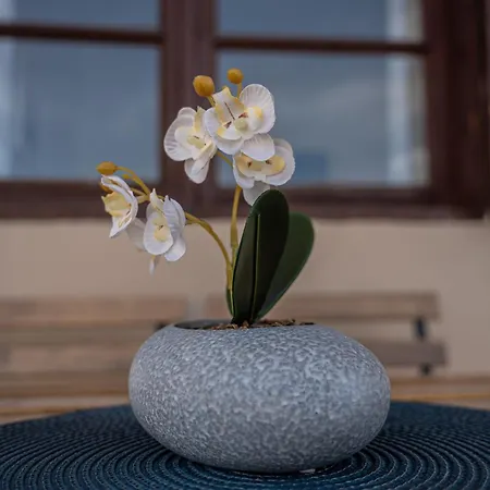 Apartment βastasio *